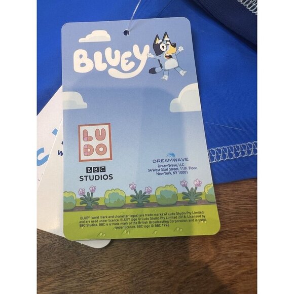 Carter’s 2-piece Bluey Rashguard & Swim Trunk Set Size 3T Long Sleeves UPF 50+ - Picture 6 of 10